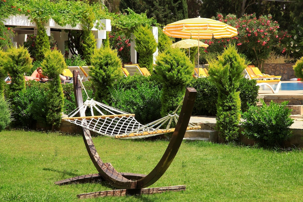 Natur Garden foto 23