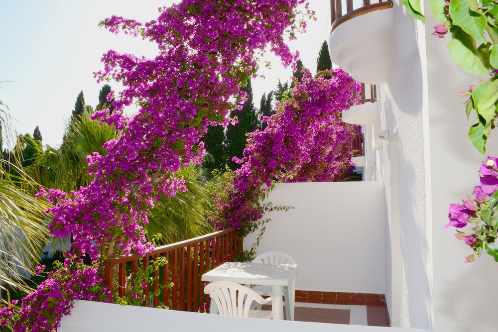 Natur Garden foto 31