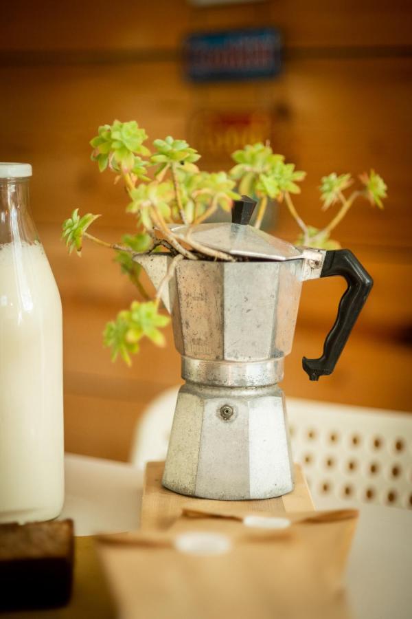 een sapcentrifuge met een plant erin naast een fles melk bij Agriturismo Beatilla in Marmirolo
