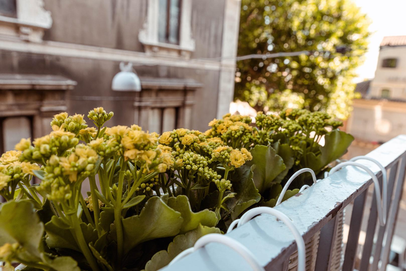 B&B Palazzo Cerami foto 11