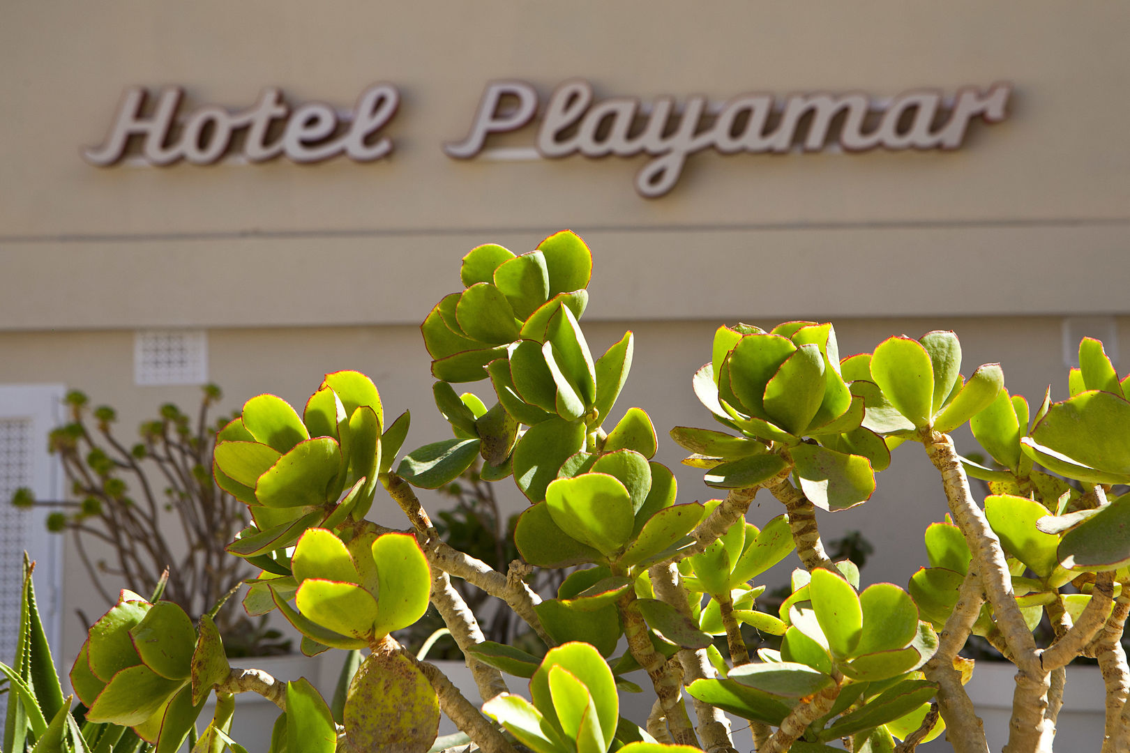 BJ Playamar Hotel & Apartamentos foto 7