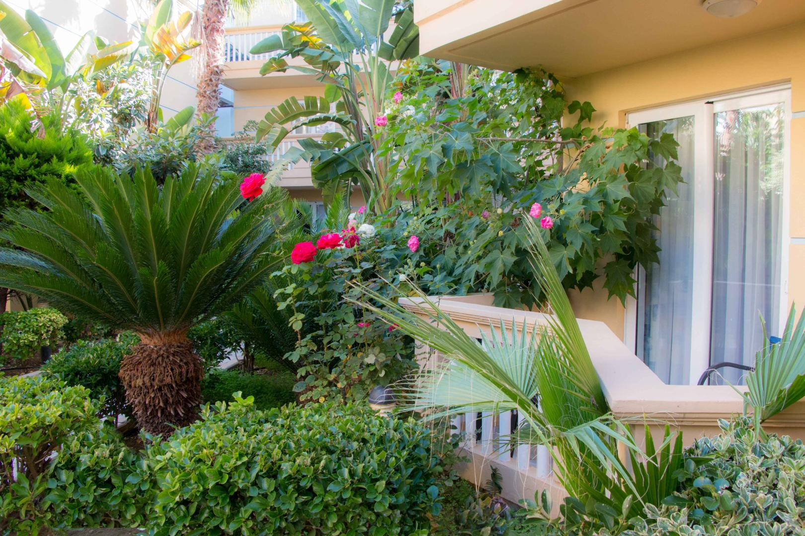 Tropische tuin met palmbomen — Futura
