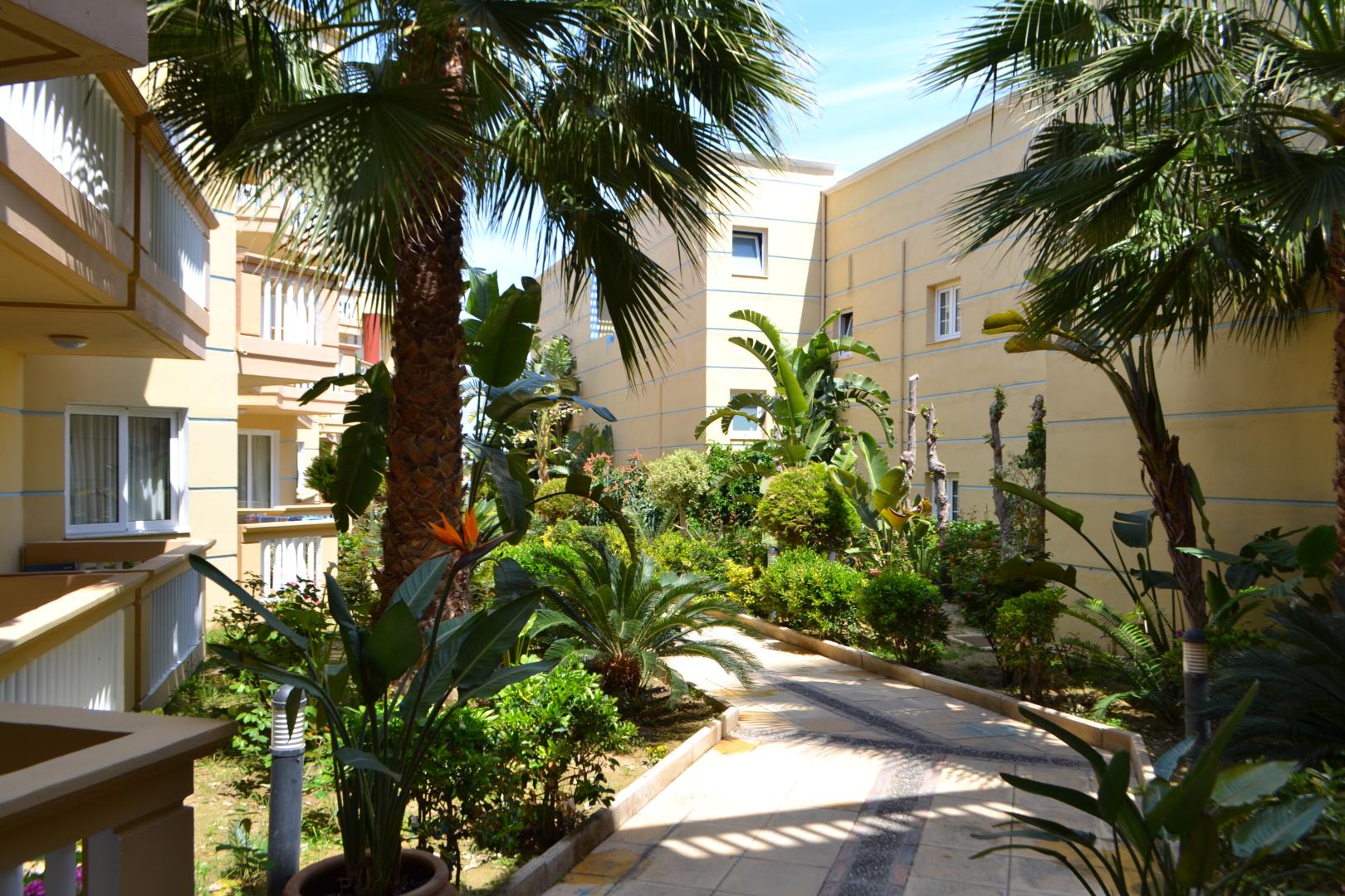 Tropische tuin met palmbomen — Futura