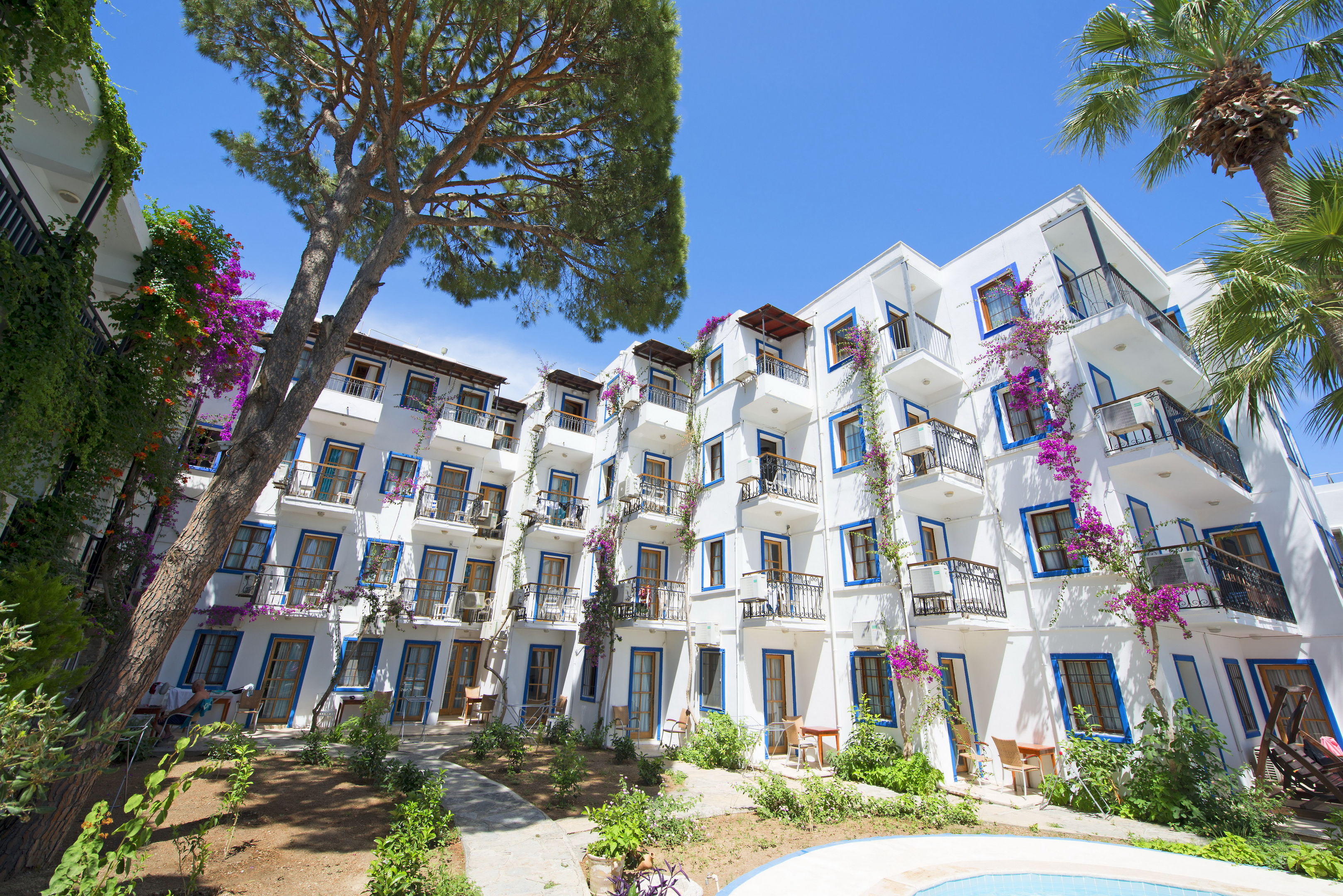 Sami Beach Hotel image 2