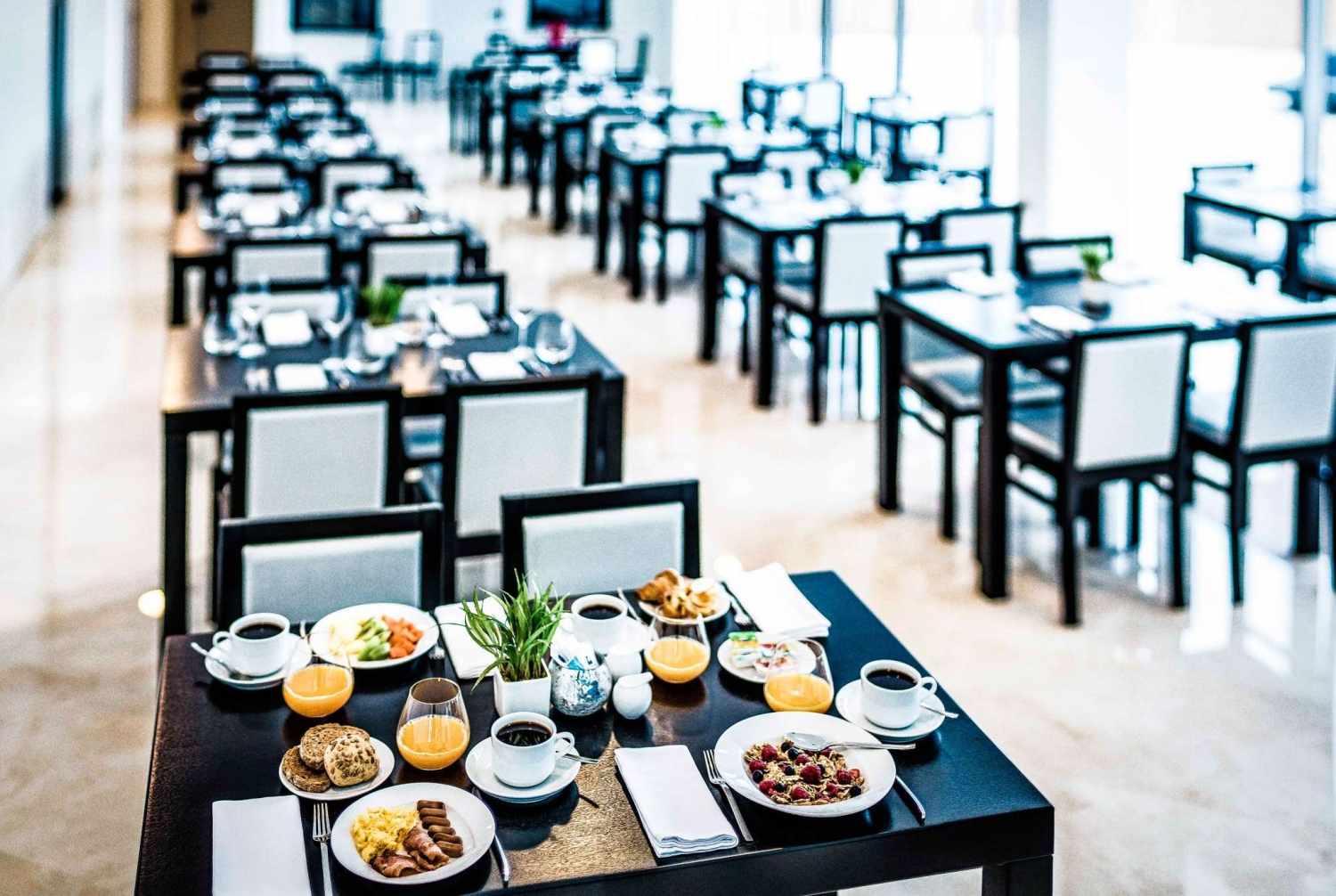 TRYP by Wyndham Leiria foto 219