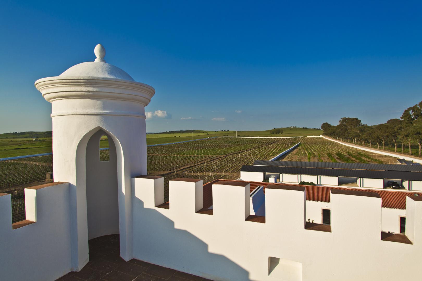 Torre de Palma Wine Hotel foto 11