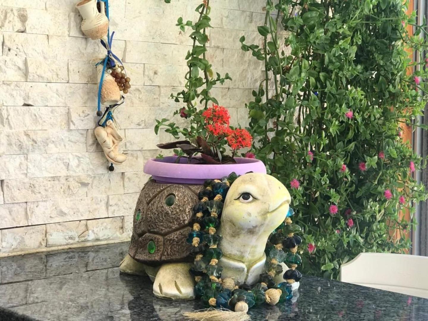 Rota Hotel image 3