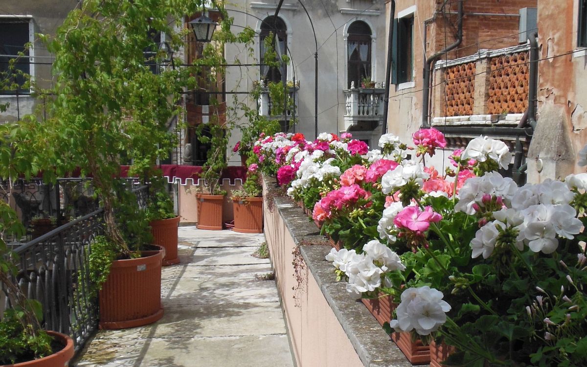 Hotel Sant'Antonin foto 15