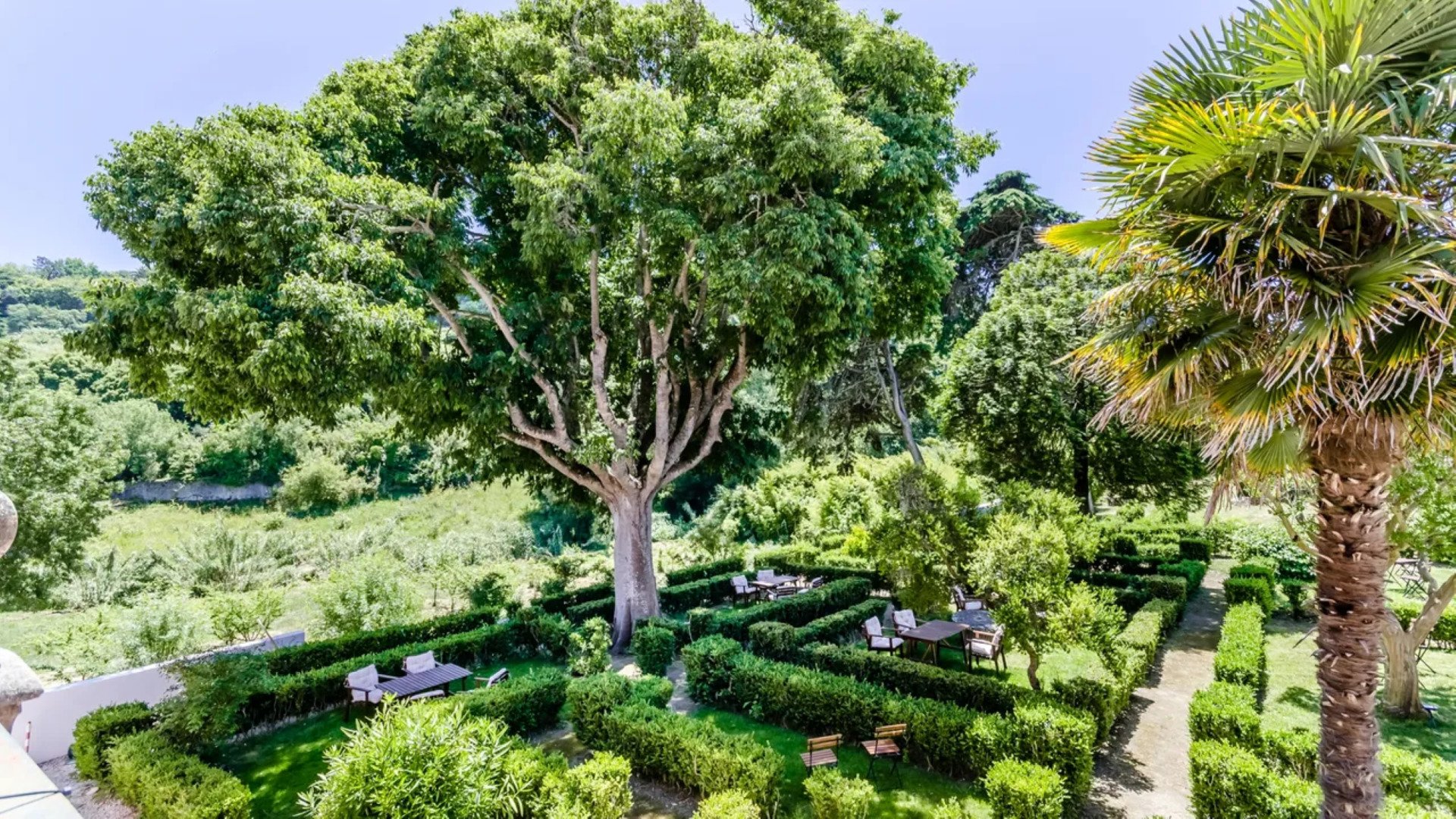 WOT Sintra Sarrazola image 3