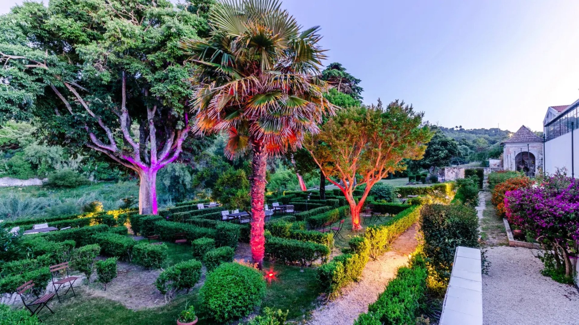 WOT Sintra Sarrazola image 2