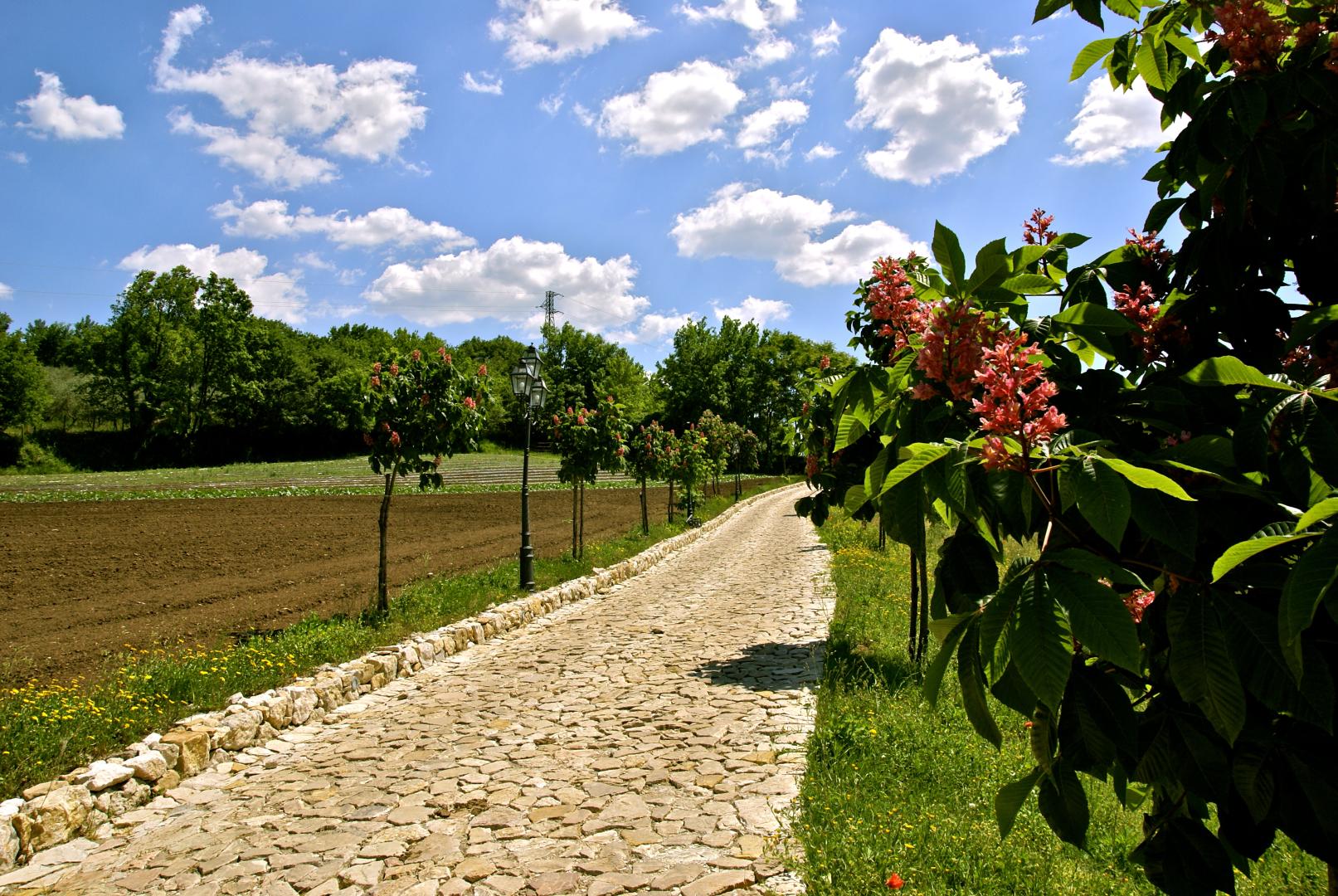 La Pampa Relais image 0