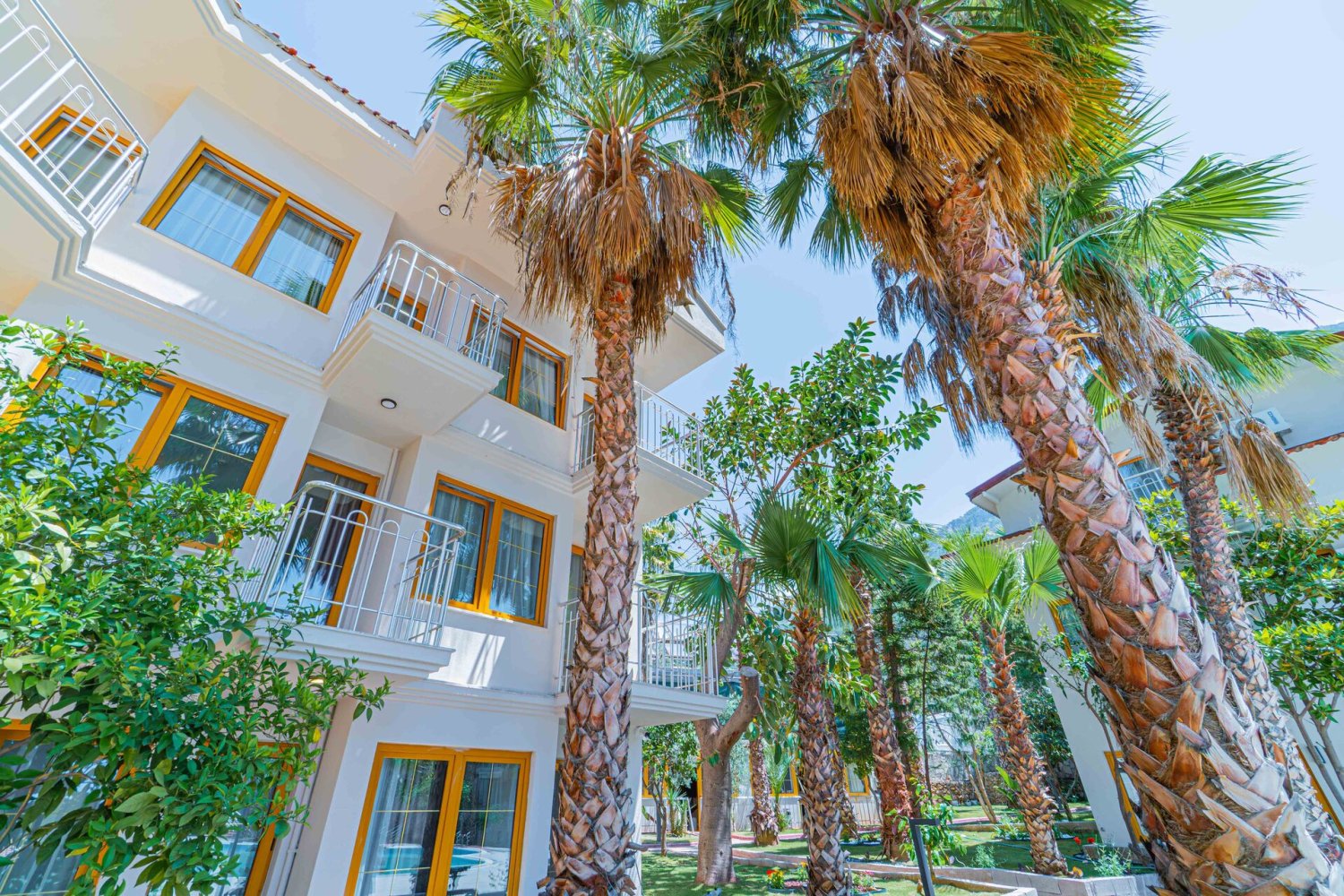 Dream of Ölüdeniz image 3