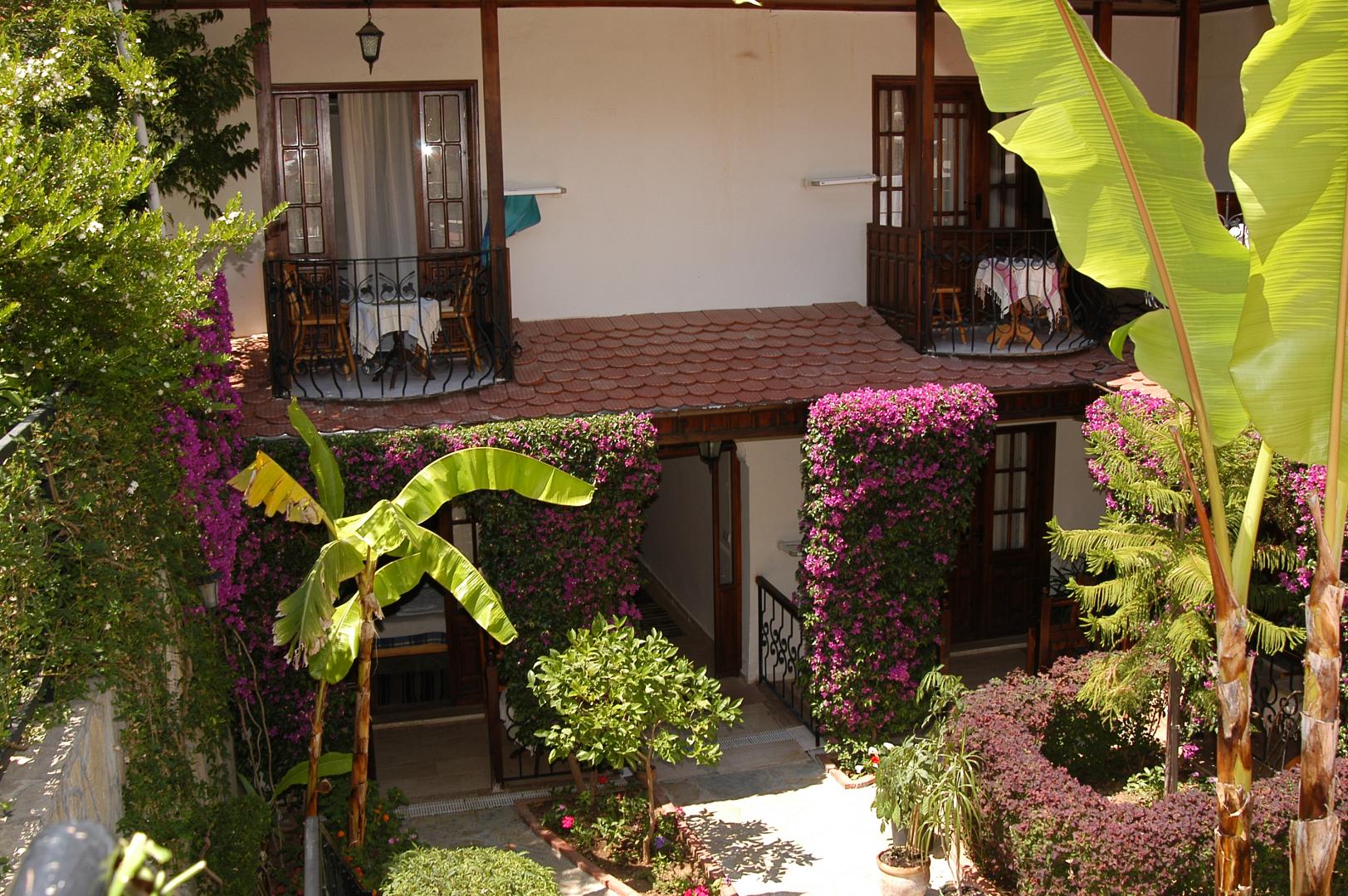Villa Daffodil foto 28