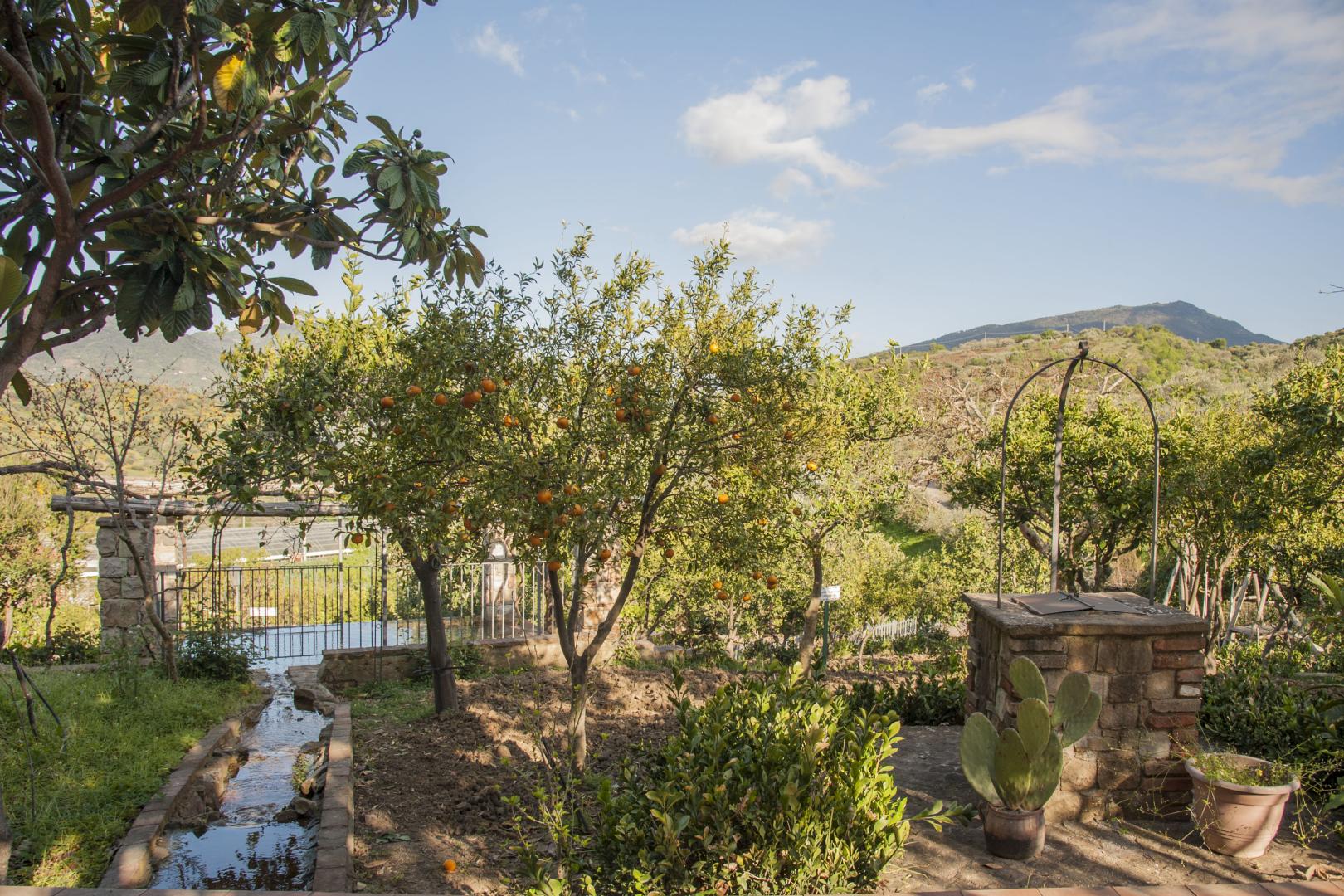 Azienda Agrituristica Bergi foto 18