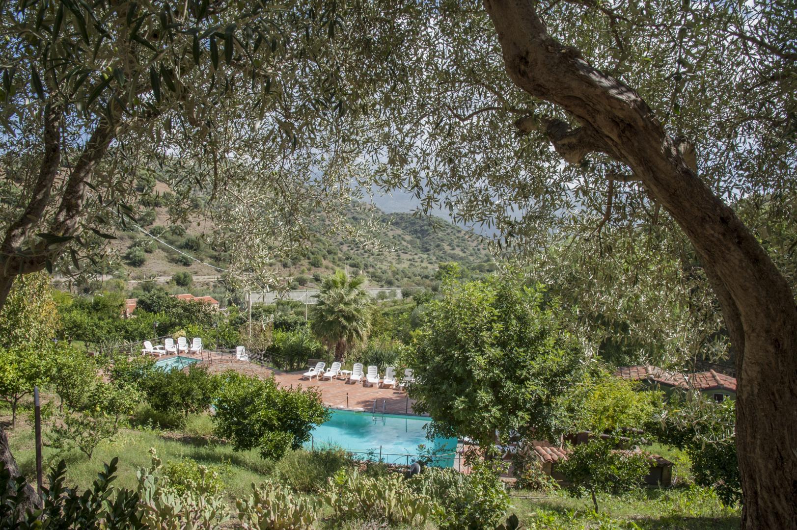 Azienda Agrituristica Bergi image 0