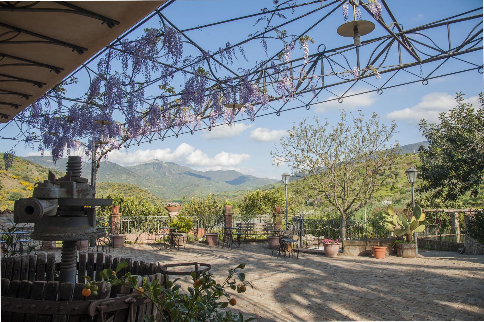 Azienda Agrituristica Bergi image 3