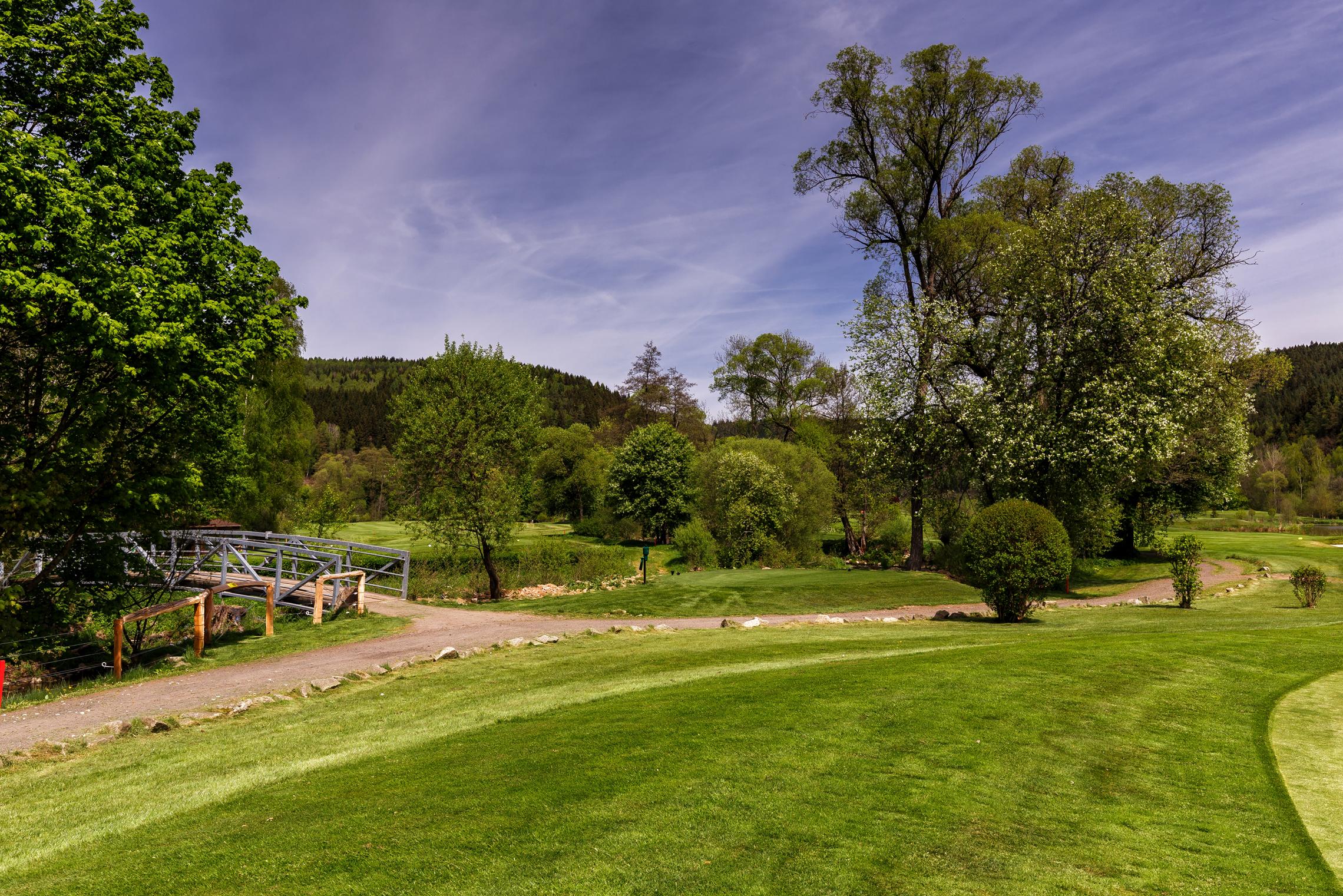 Cihelny Golf & Wellness Resort foto 63