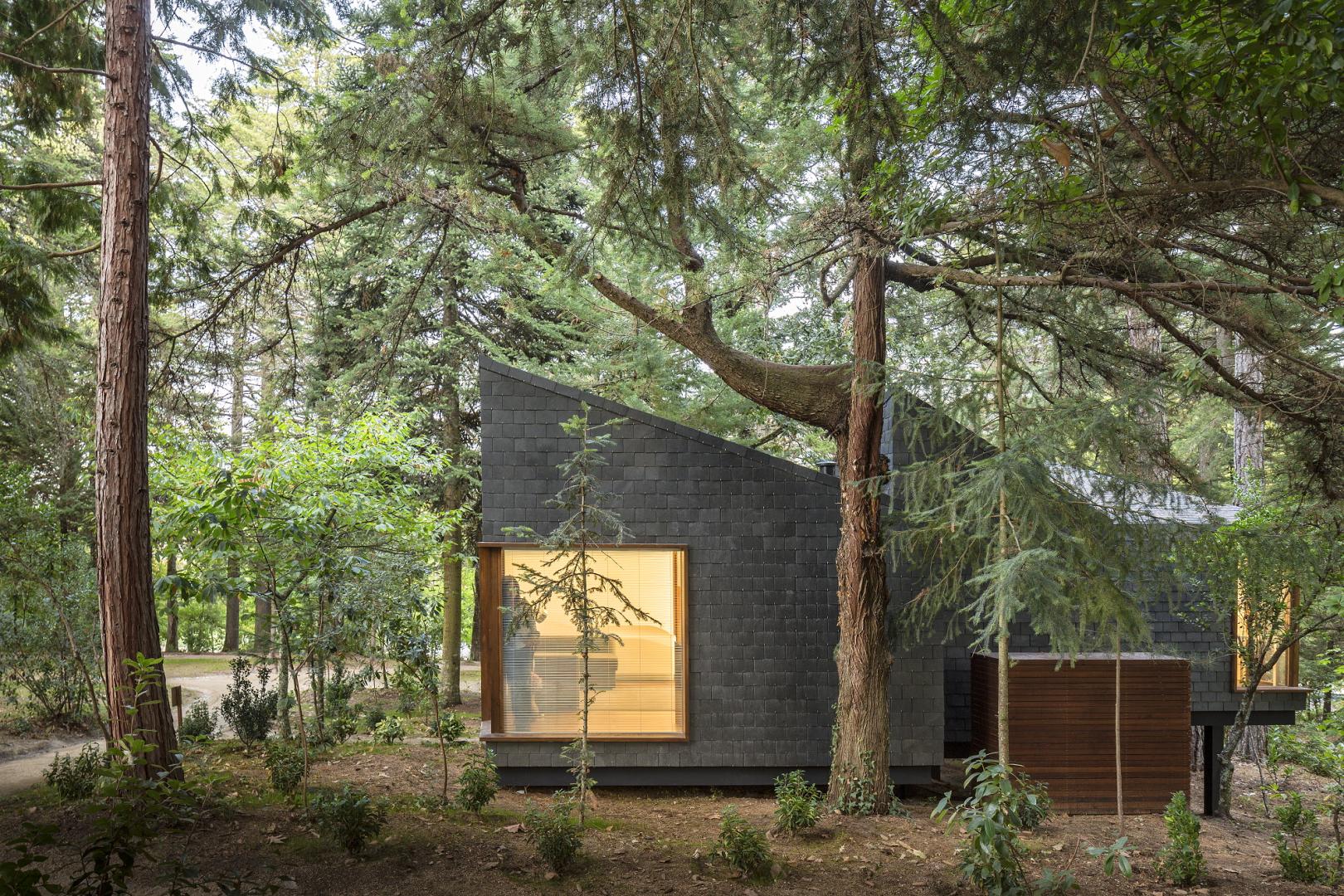 Pedras Salgadas Spa & Nature Park foto 16