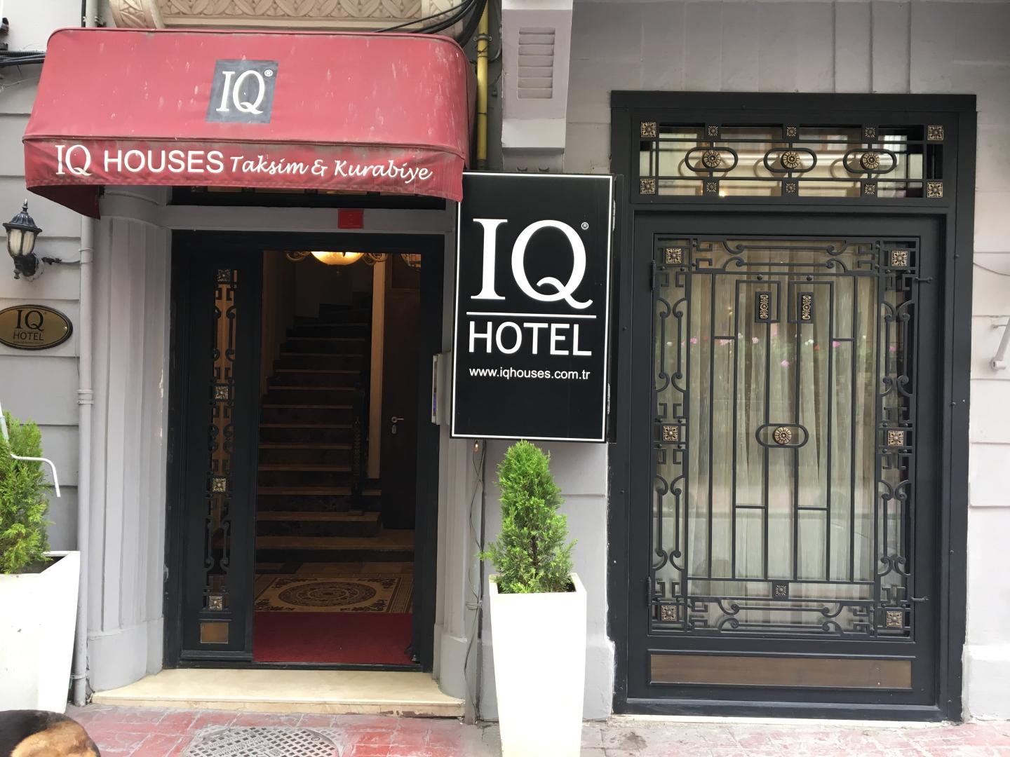 IQ Houses Kurabiye foto 10