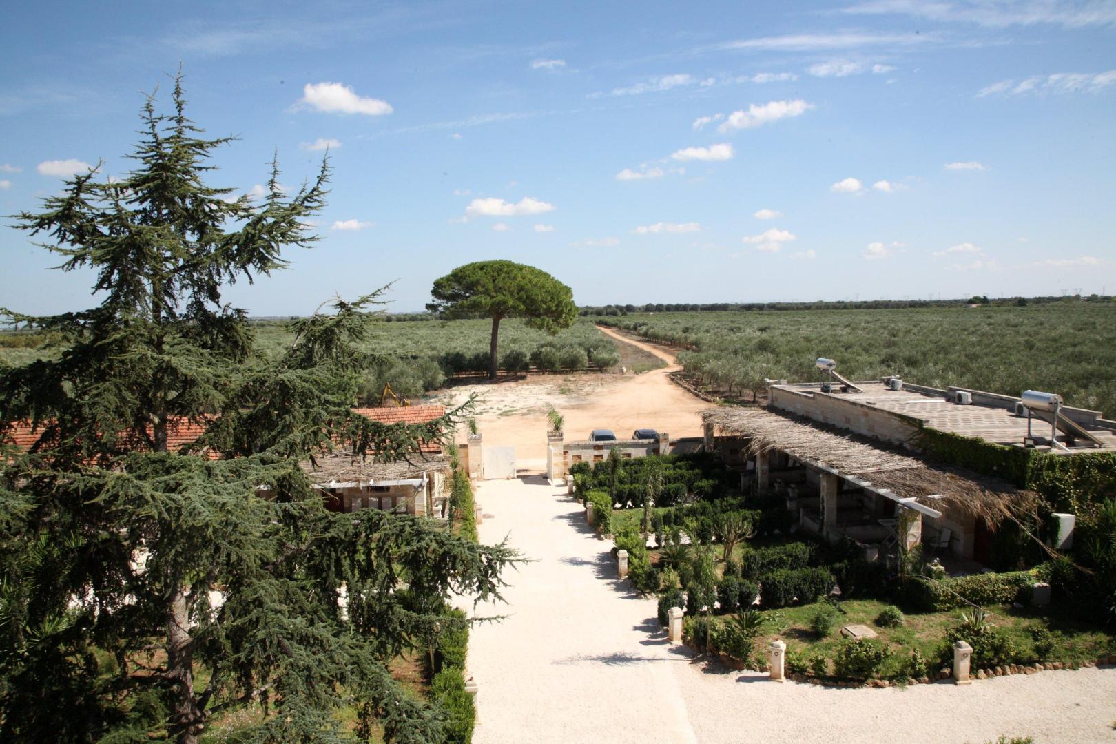 Agriturismo Tenuta Mazzetta foto 11