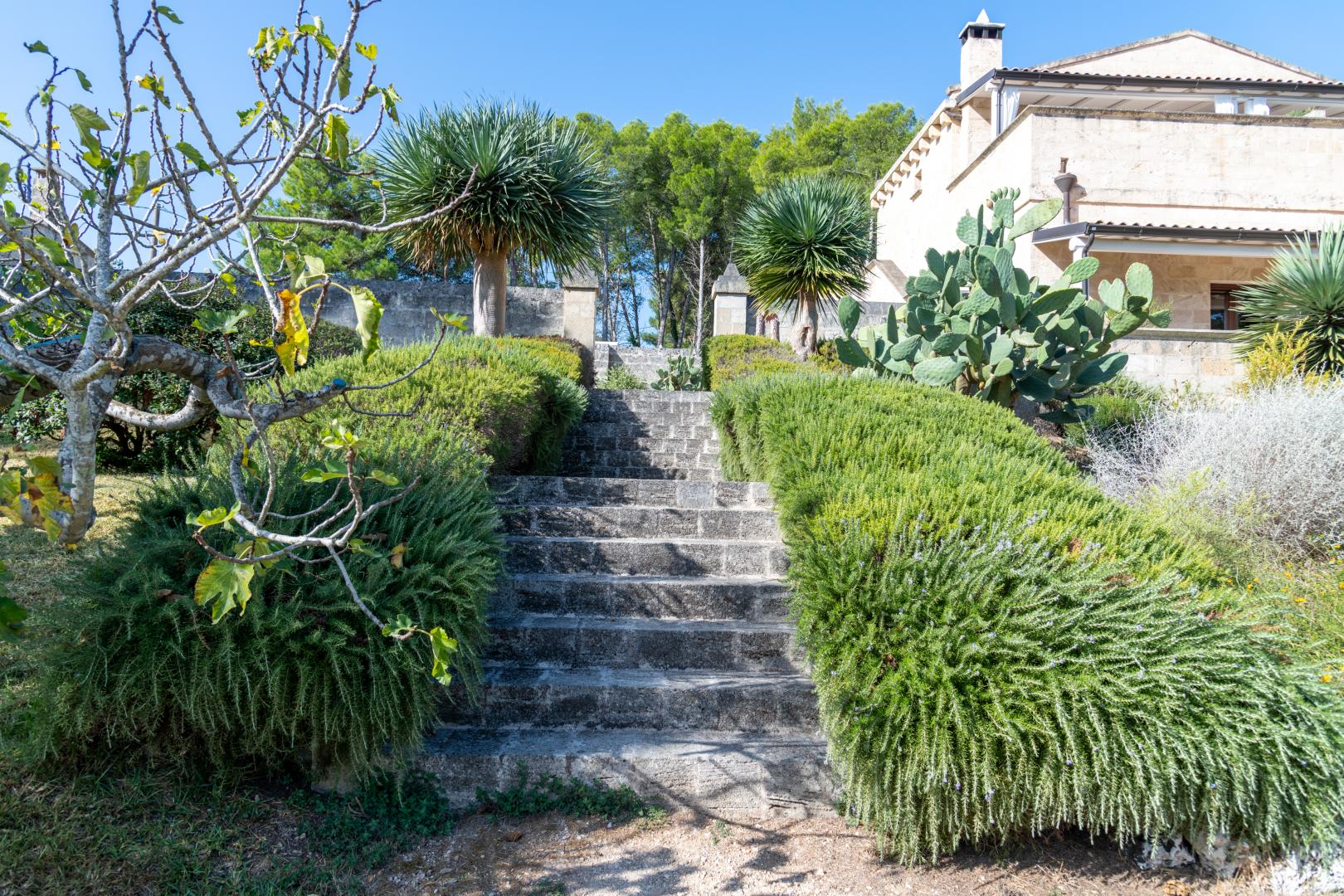 Masseria Caliani foto 17
