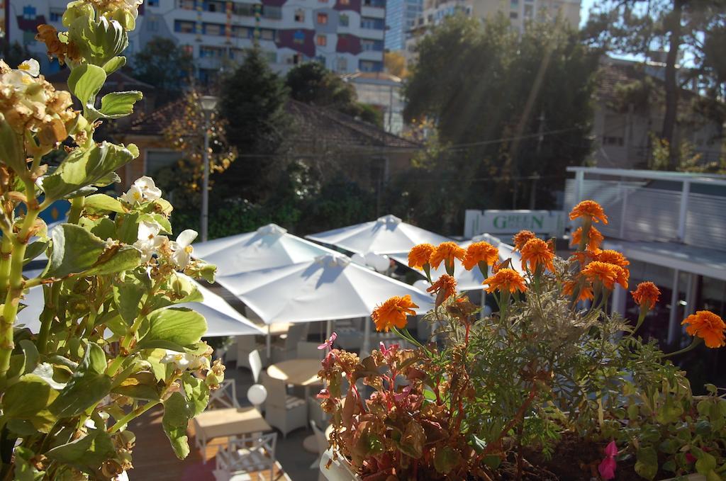 Green House foto 26