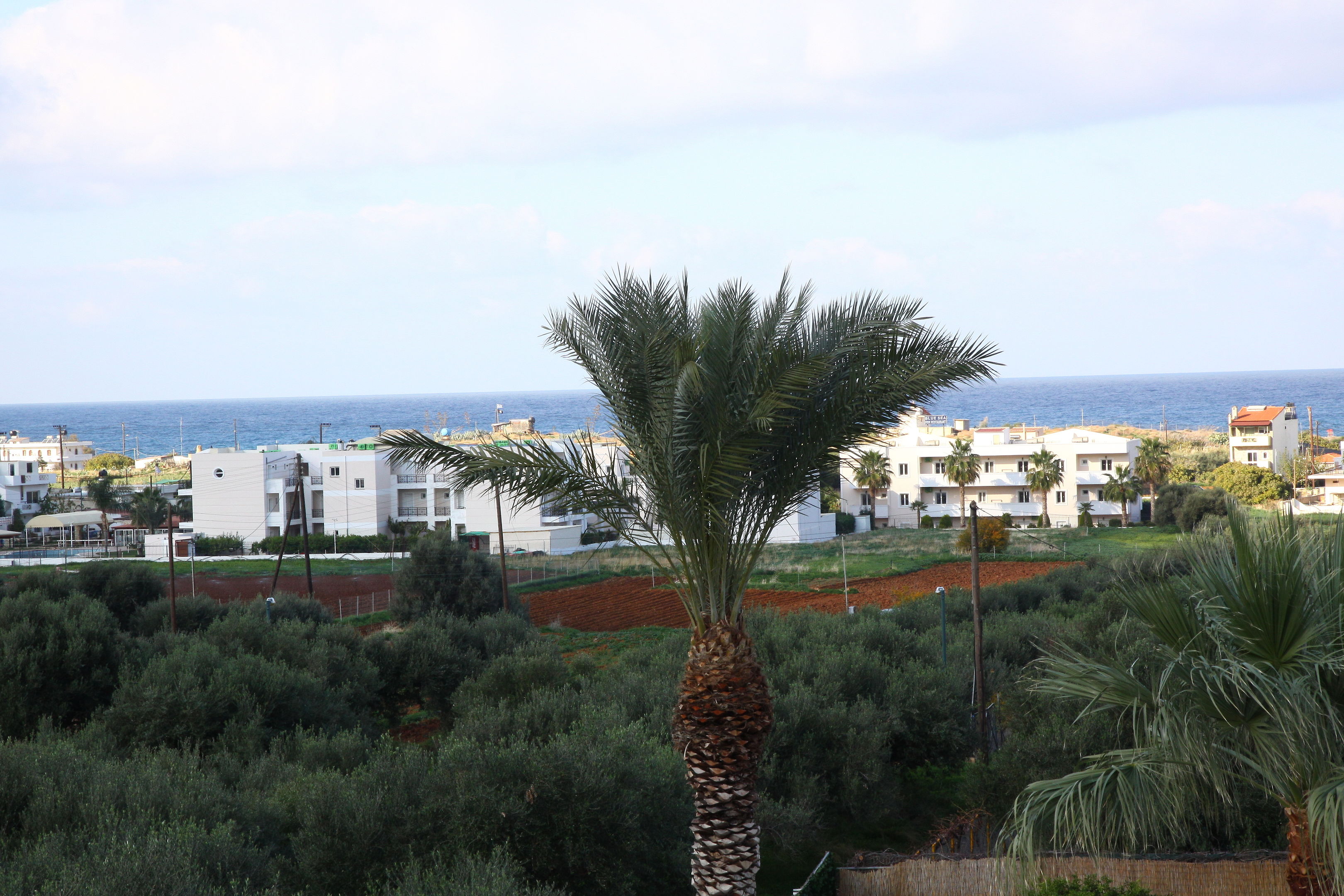 Triton Garden Hotel foto 6
