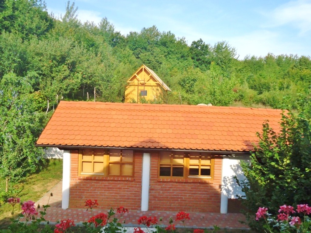 Apartments Kristic image 1