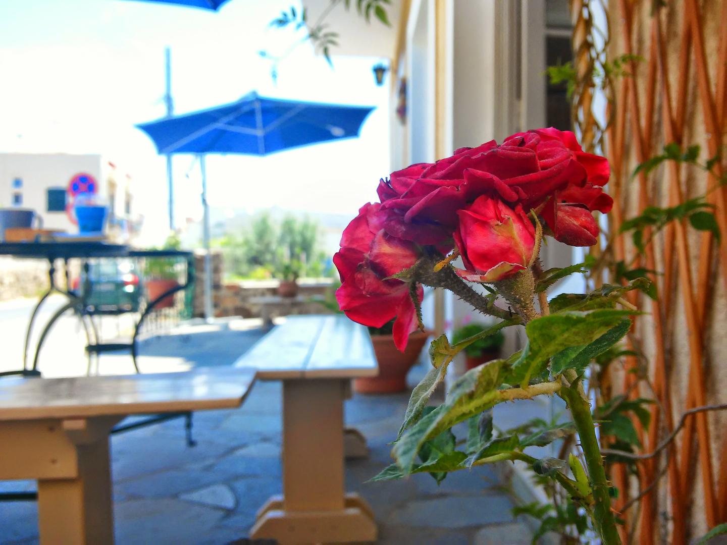 Hotel Aegina foto 15