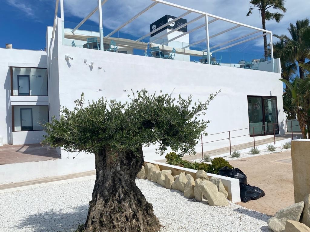 Soul Beach Hotel foto 9