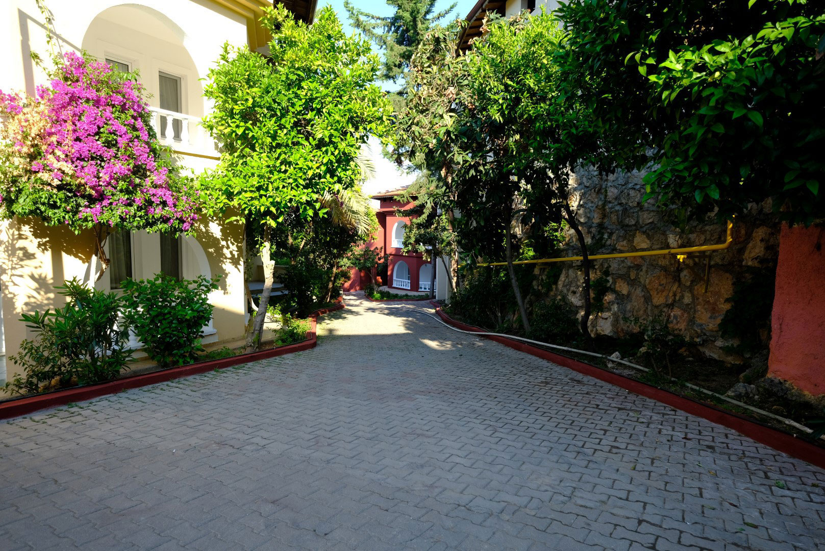 Senza Garden Holiday Club foto 16
