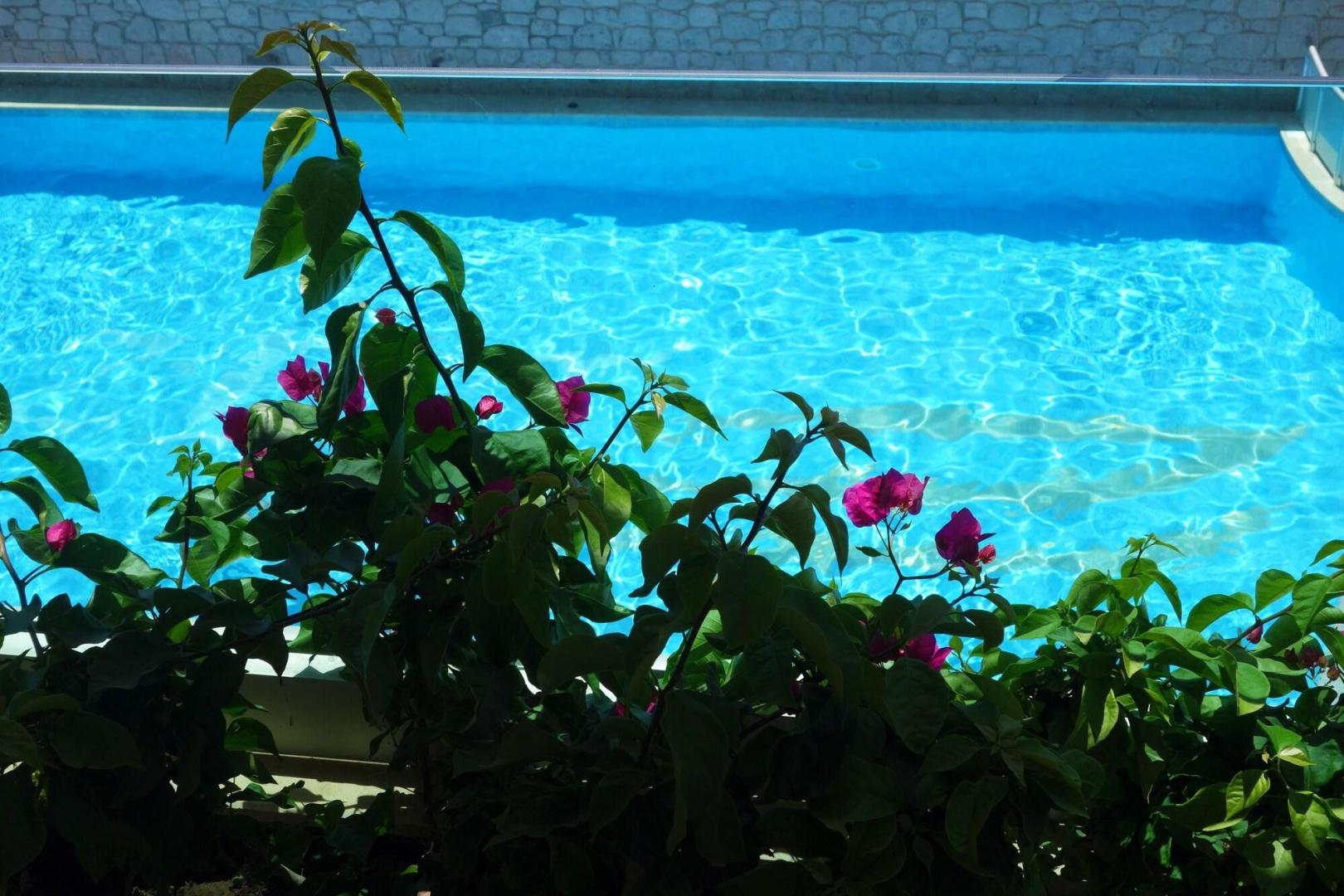 Zest Exclusive Hotel & Spa foto 15