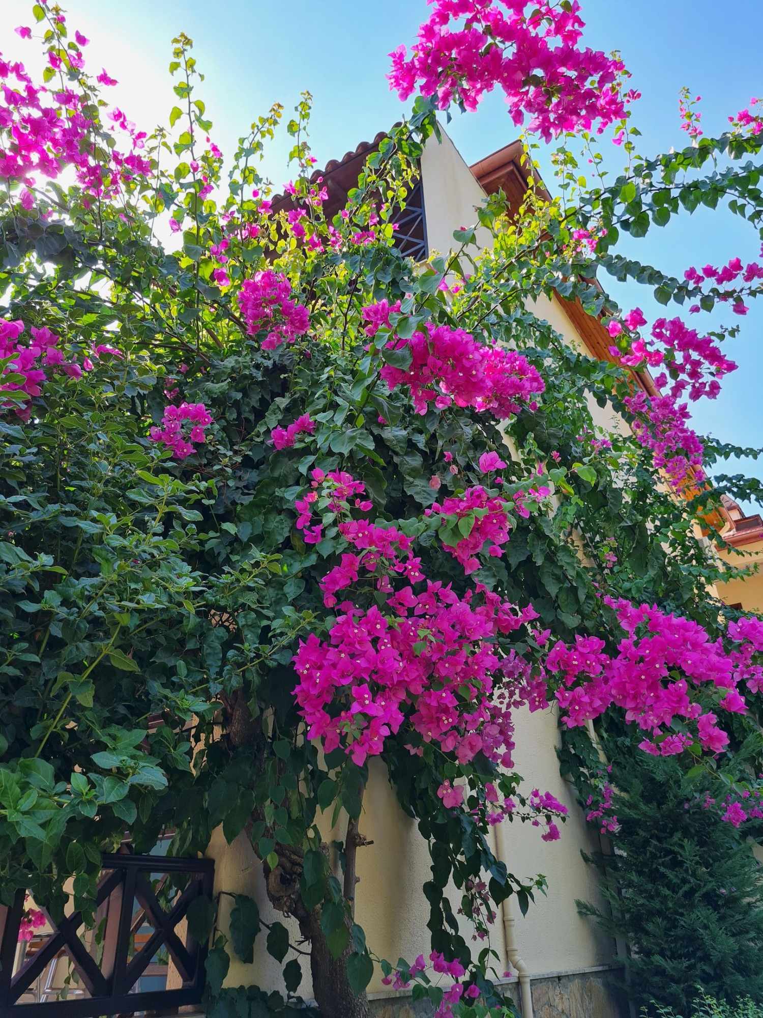 Saphir Hotel & Villas foto 101