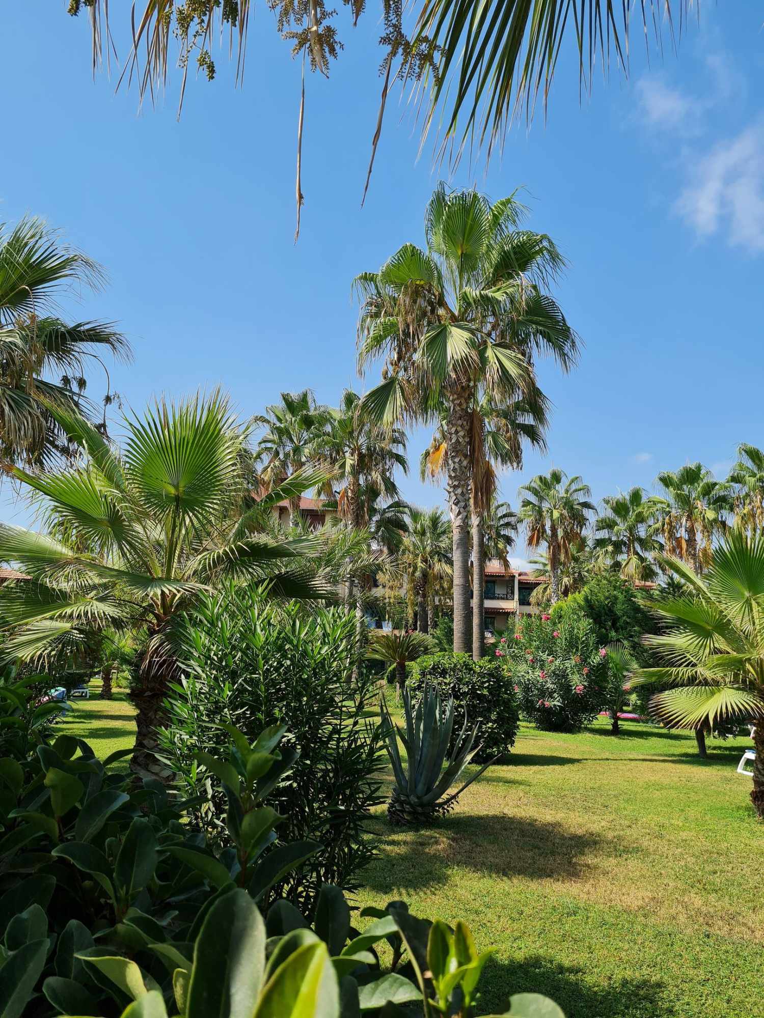Saphir Hotel & Villas foto 103