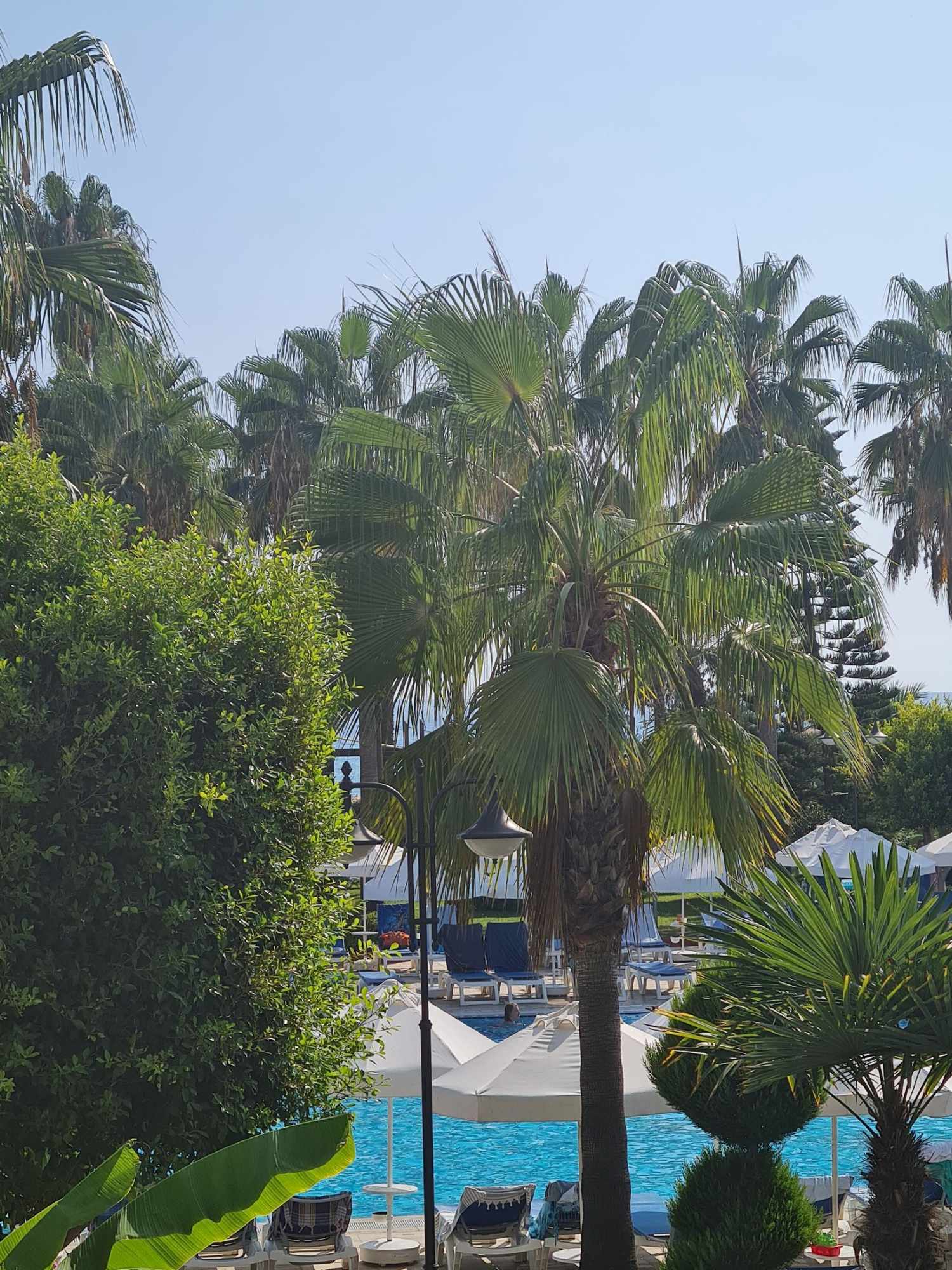 Saphir Hotel & Villas foto 108