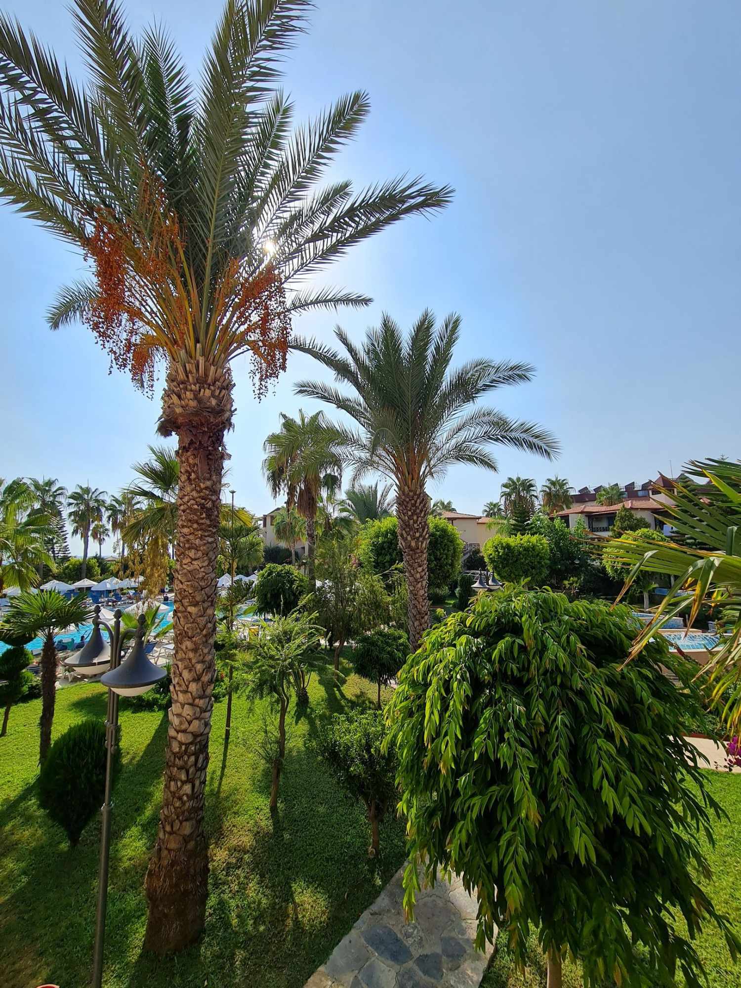 Saphir Hotel & Villas foto 109