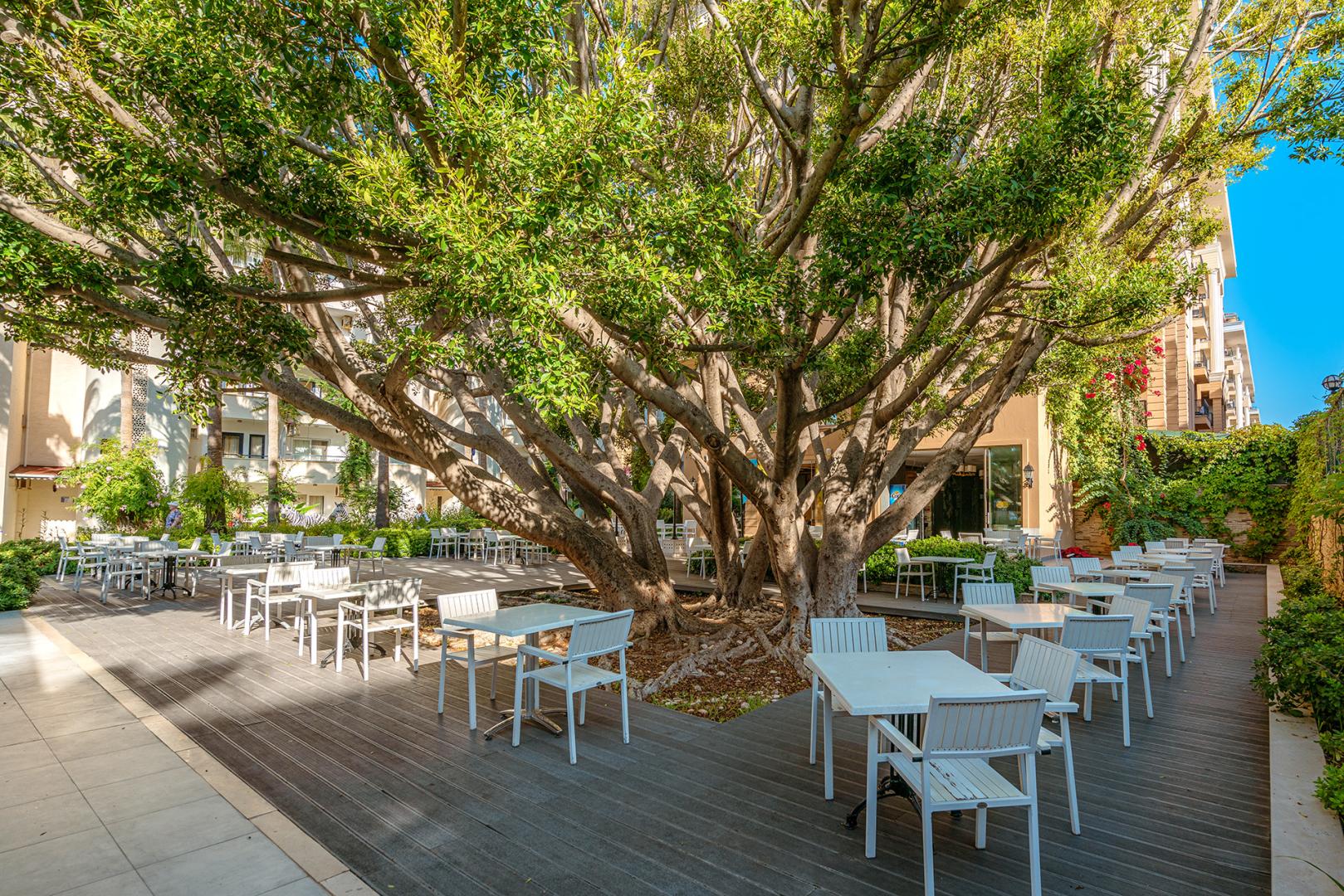 Club Sun Heaven Family Resort & Spa foto 23