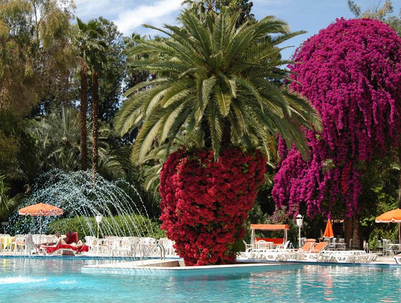 Es Saadi Marrakech Resort image 1