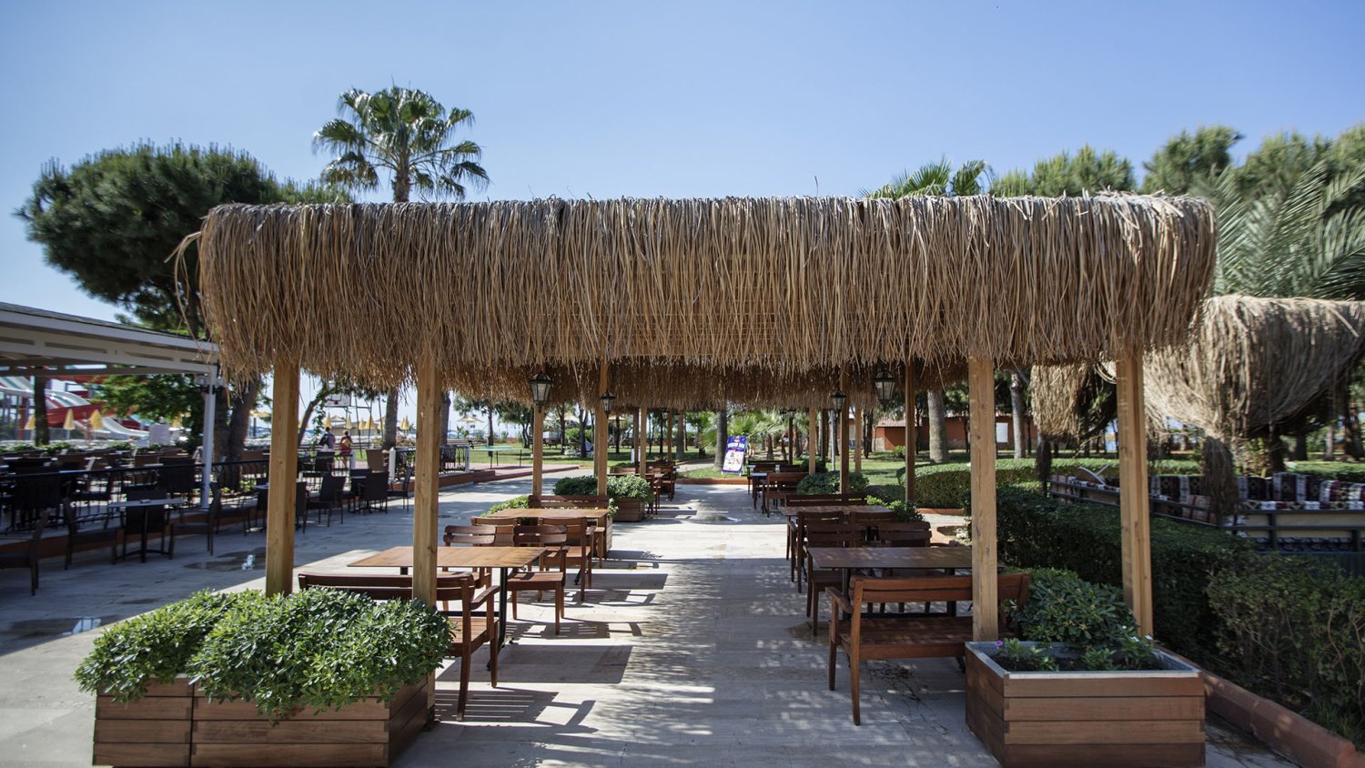 Club Turtas Beach Hotel foto 35