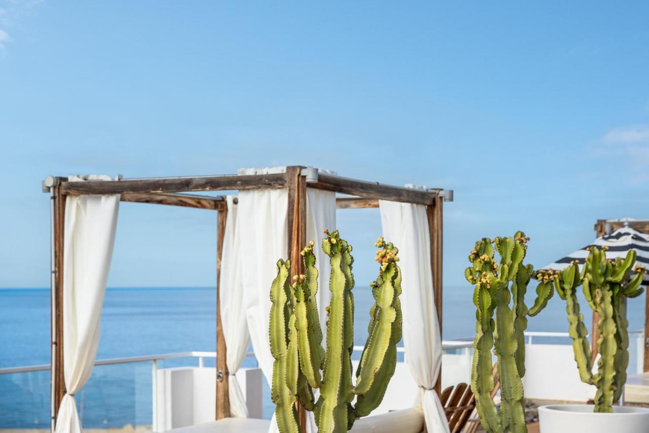 een cactus voor een raam met uitzicht op de oceaan bij Marina Bayview Gran Canaria - Adults Only in Puerto Rico de Gran 