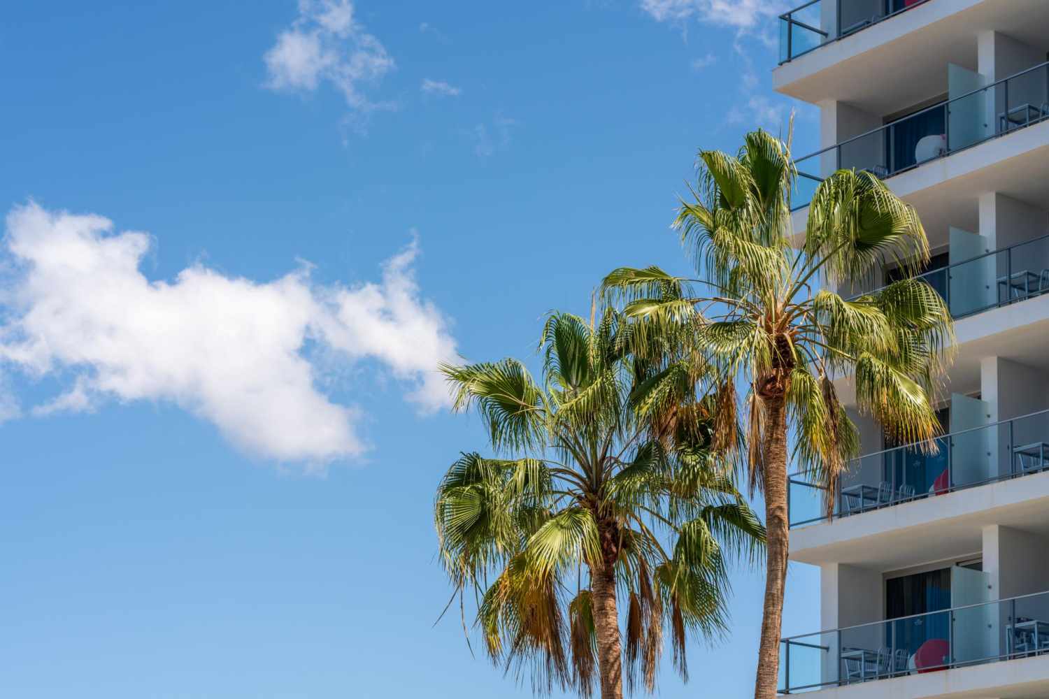 Marina Suites foto 66