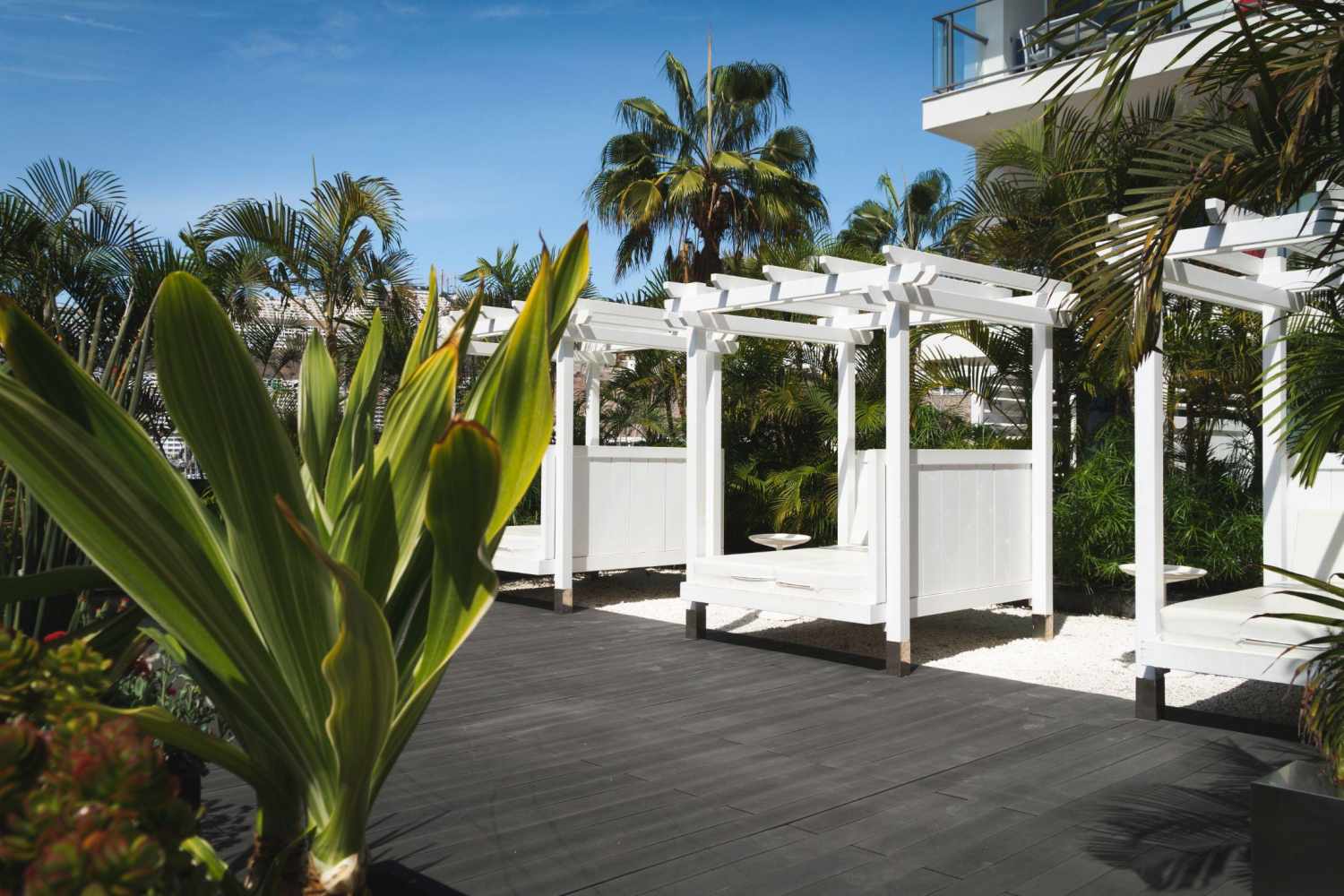 Marina Suites foto 83