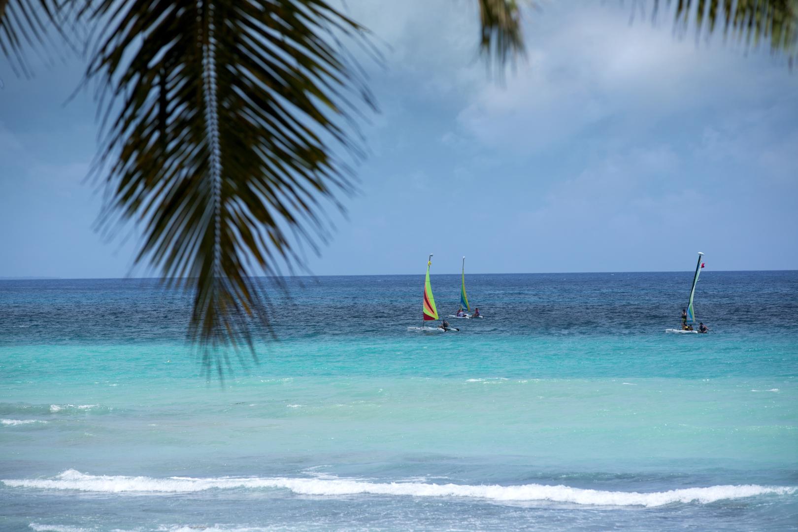 Viva Dominicus Beach by Wyndham, A Trademark All Inclusive foto 40