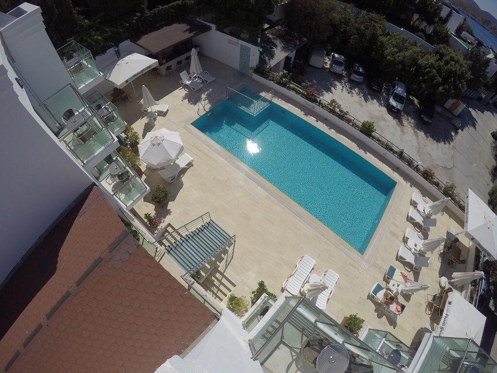 Zwembad omringd door palmbomen — Gün-Ay Otel
