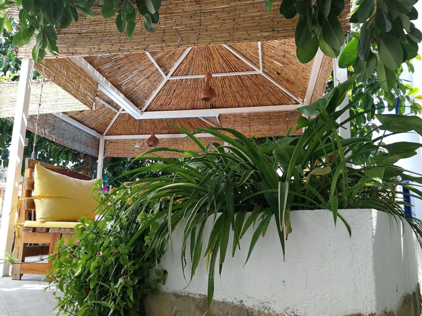 Tropische tuin met palmbomen — Oya Boutique Hotel & Suites