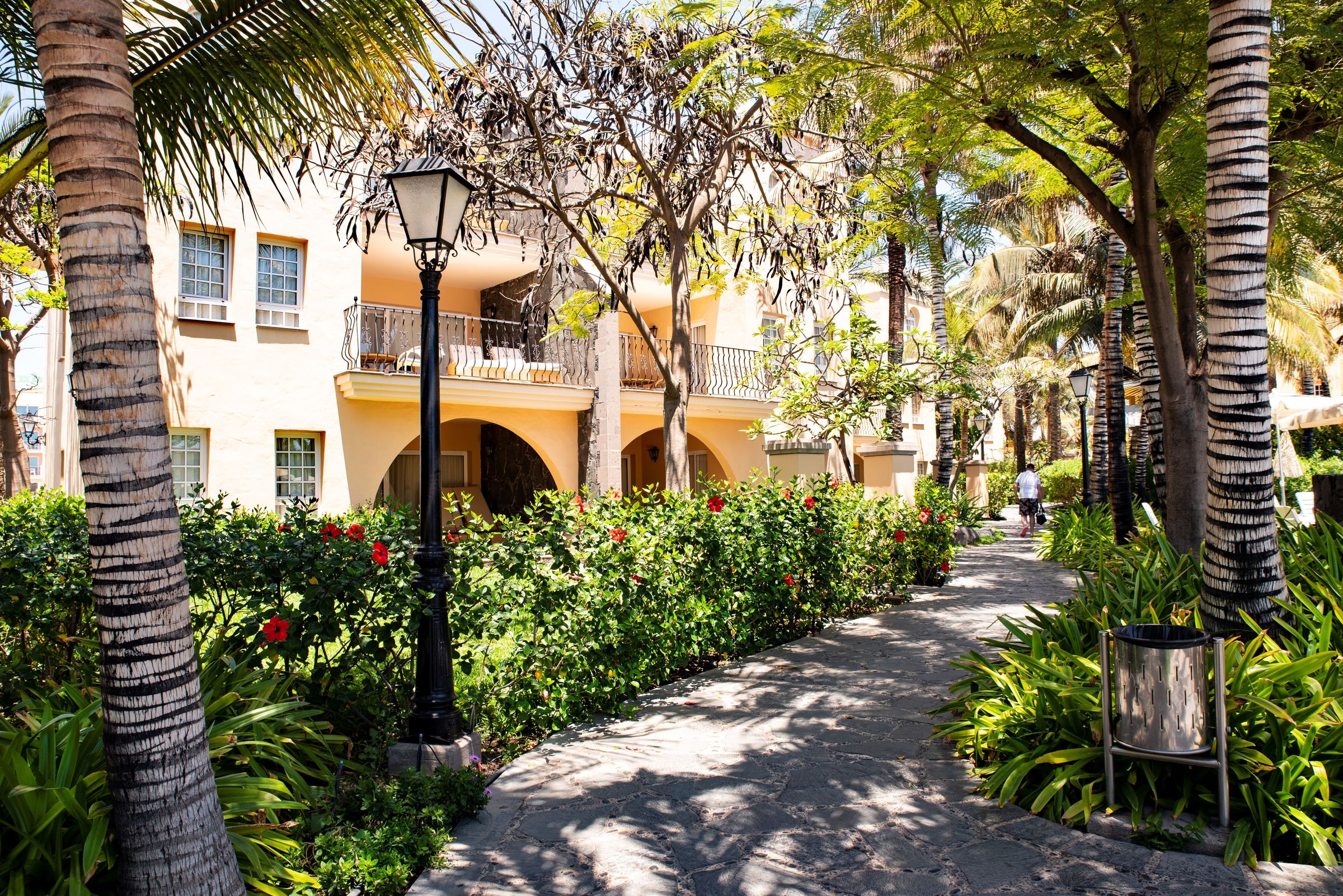 Palm Oasis Maspalomas foto 17