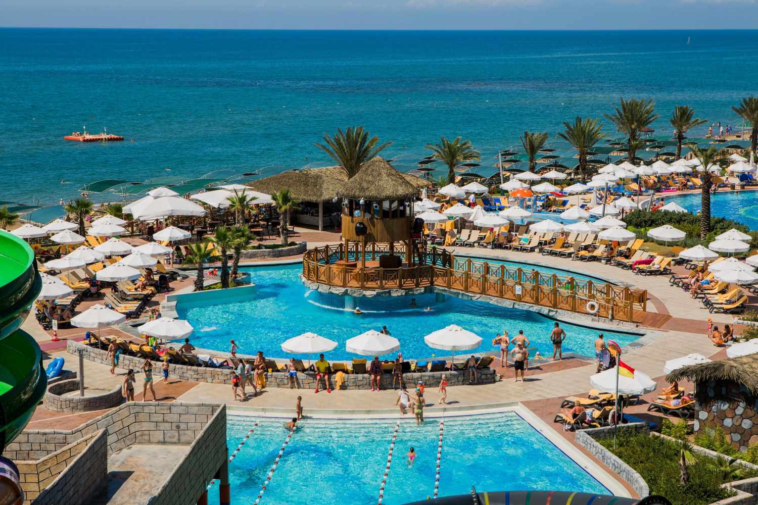 Papillon Belvil image 1