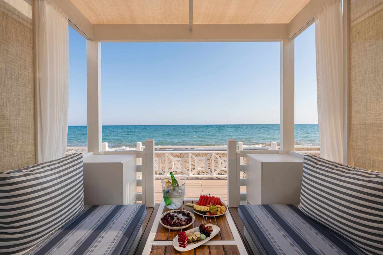 Papillon Belvil image 2