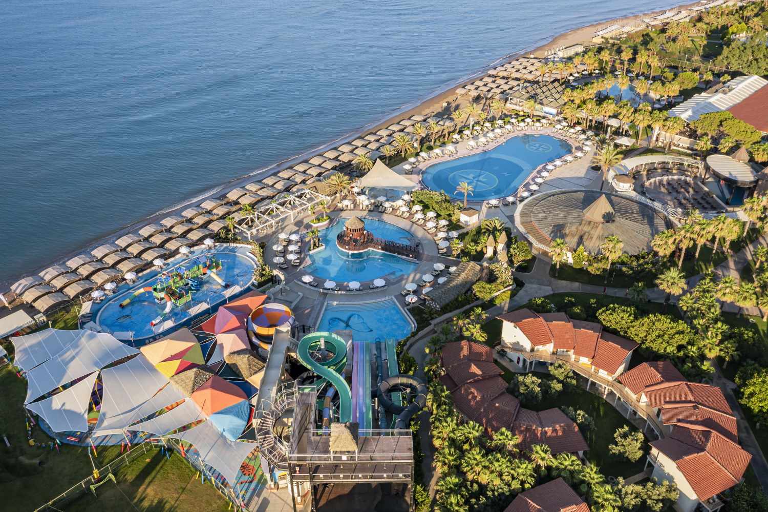 Papillon Belvil image 0