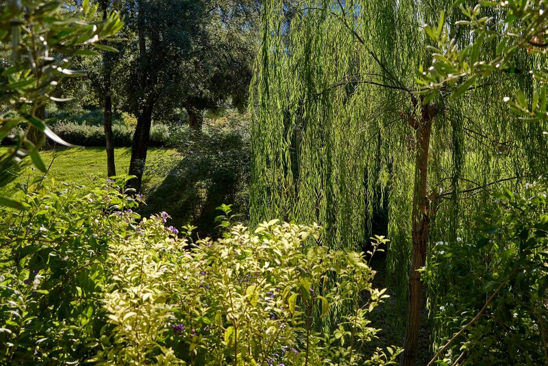 Ikos Olivia foto 573